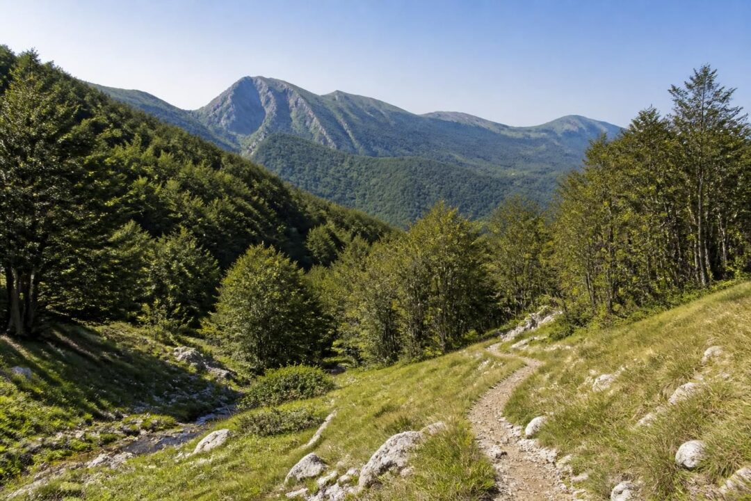 esplora i sentieri del monte taburno con percorsi dettagliati e mappe accurate per una fantastica esperienza di trekking immersi nella natura.